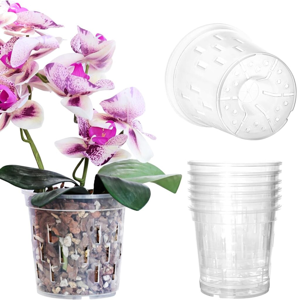 Best Pots for Orchids- Top 5 picks in 2025