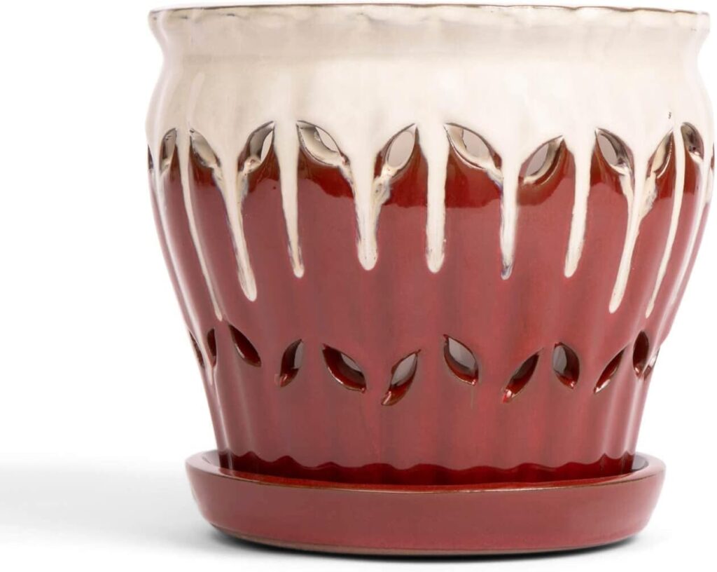 Best Pots for Orchids- Top 5 picks in 2025