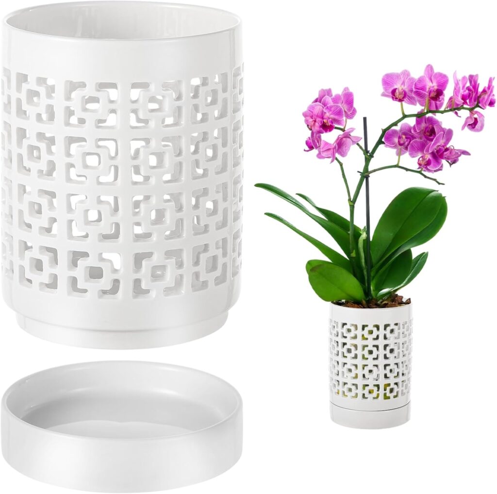 Best Pots for Orchids- Top 5 picks in 2025