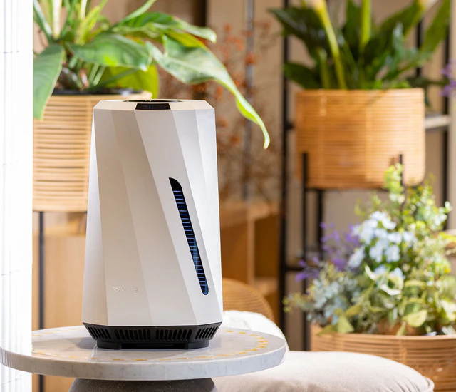 Best Humidifier for home